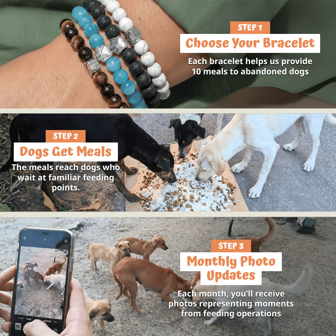 Birch Tree of Life Bracelet