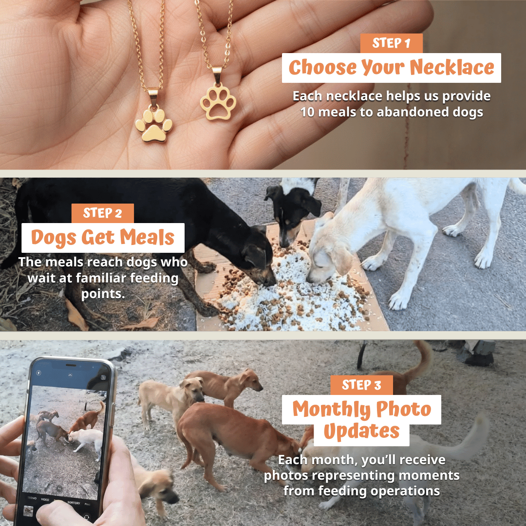Pure Necklace